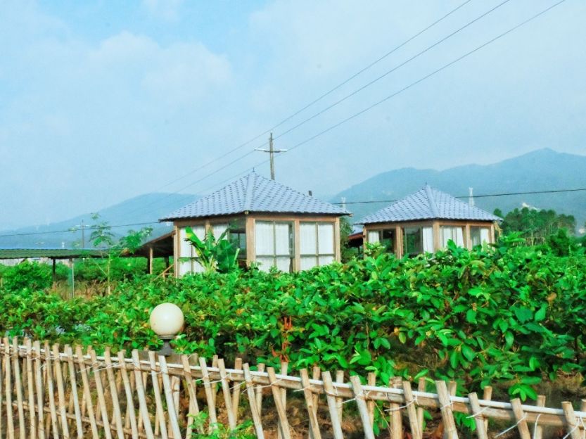 田园农庄里的特色木屋变打卡胜地，引来游客如织